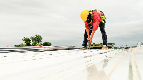 Best Roof Leak Repair  in Bladensburg, MD