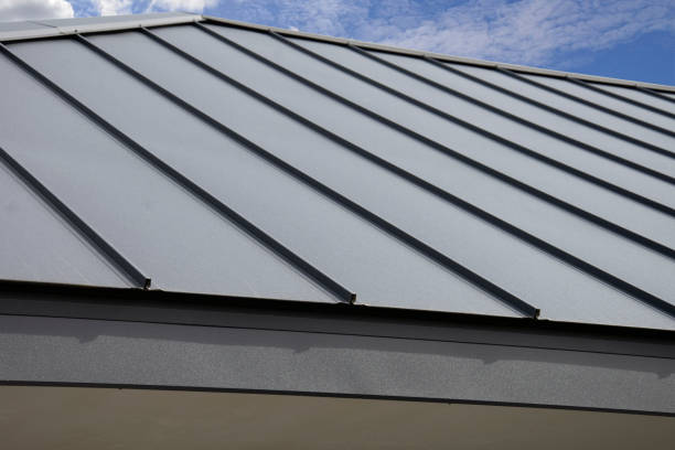 Best Solar Panel Roofing Installation  in Bladensburg, MD