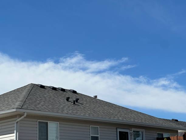 Best Flat Roofing  in Bladensburg, MD